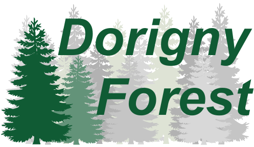 Forêt de Dorigny